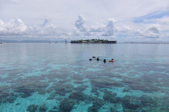 Twin Island Snorkeling Adventure at Hiltungan and Nalsuan - From Shangri-La to the open sea