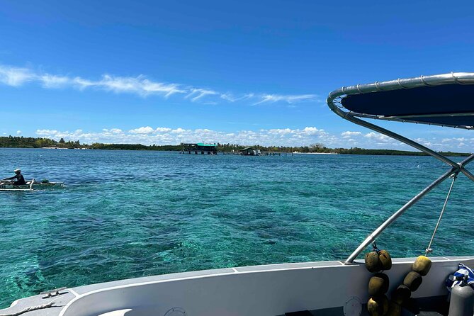 Twin Island Snorkeling Adventure at Hiltungan and Nalsuan - The value of a $140 half-day outing