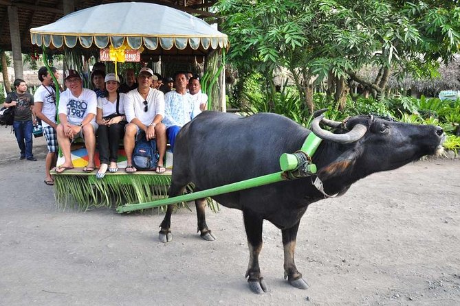 VILLA ESCUDERO DAY TOUR with Carabao Cart Ride and Bamboo from Manila - Villa Escudero’s plantation setting