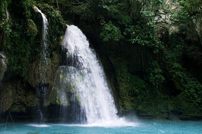 Whale Shark, Canyoneering, Sardines Run and Turtles with Transpo - Is $180 a fair price?