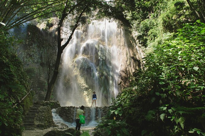 Whale Shark Encounter and Tumalog Waterfalls Tour - The early departure from Cebu