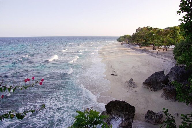 Whale Shark Encounter & Sumilon Sandbar & Canyoneering in Kawasan Falls - The Four Big Reasons to Consider This Cebu Day Trip