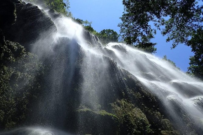 Whale Shark & Tumalog Falls & Sumilon Sandbar & Pescador Island with Sardines - Why this Cebu day trip covers so much
