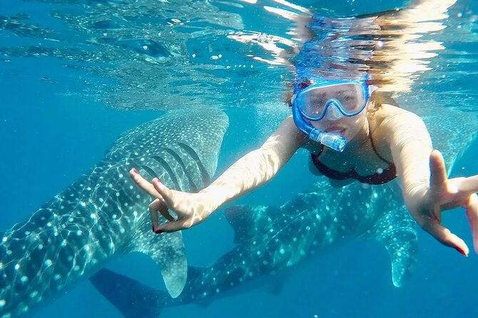 Whale Watching in Sumilon Island with Ocean View Resort and Lunch - What This Cebu Tour Actually Gives You