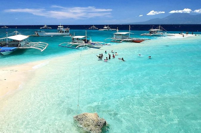 Whale Watching in Sumilon Island with Ocean View Resort and Lunch - Lunch: The Detail You Should Clarify