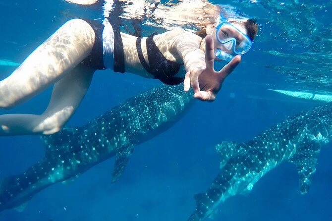 Whale Watching in Sumilon Island with Ocean View Resort and Lunch - The 3:00 AM Start and the Long Road South